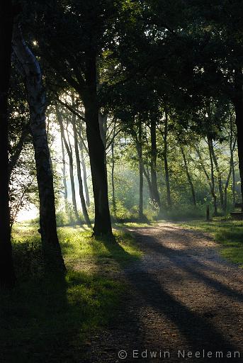 ENE-20100812-0589.jpg - Meerbaansblaak, Nationaal Park De Groote Peel